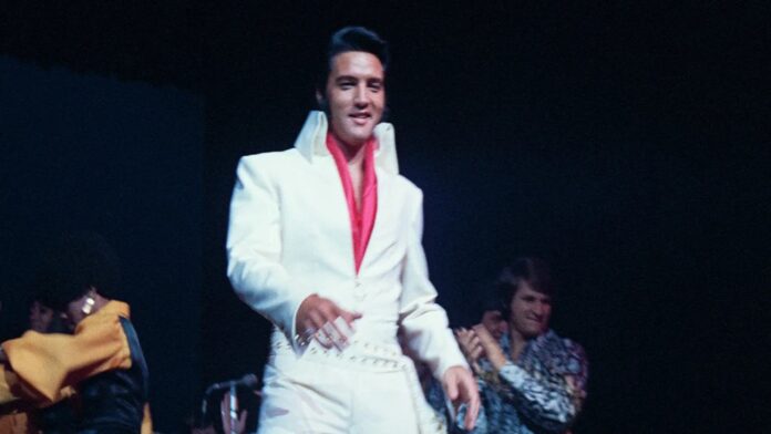 elvis bild